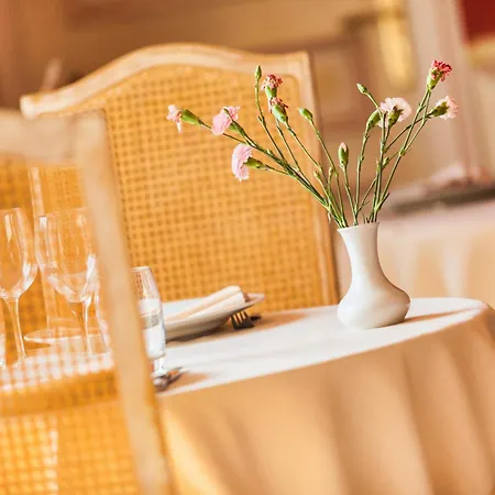 Отель Logis Restaurant L'ile De Sees Mace